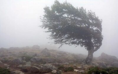 Alerta meteorológico: cinco provincias afectadas por vientos fuertes