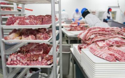 Carne: volumen récord de exportaciones, pero con caída de precios