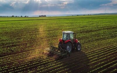 Historia de los siete regímenes cambiarios para el agro en el 2023