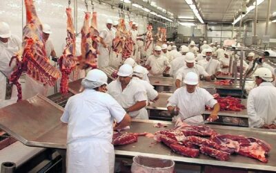 China sin rumbo definido, la carne argentina busca nuevos destinos