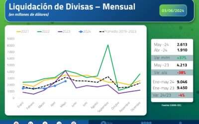 Bolsa de Cereales de Buenos Aires:  Liquidación de divisas de mayo