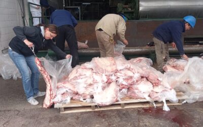 Barrera Sanitaria: Decomiso de 4.580 kilos de carne escondidos en un depósito de agua