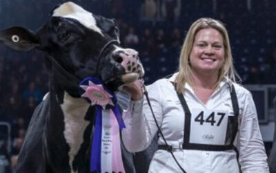 Una superexperta mundial de ganado Holstein será jurado en la expo de Morteros