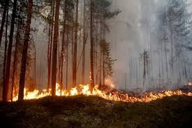 Aumentan las temperaturas en el Ártico mientras las llamas arrasan el norte de Rusia