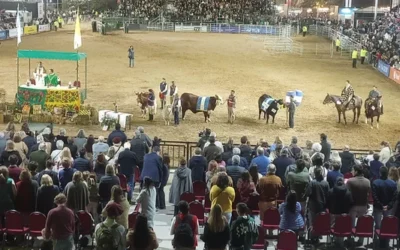 Más de 1.300.000 personas visitaron la Expo Rural