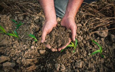 El Agro se suma a la Mesa Argentina de Carbono