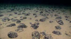 Qué es el “oxígeno oscuro” que se produce en el fondo del mar y cuáles son sus propiedades