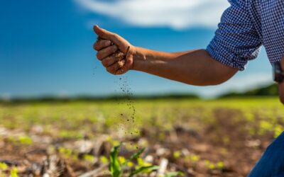 Syngenta en Aapresid reafirma su compromiso con la sustentabilidad y la innovación