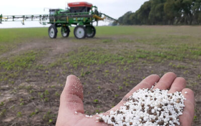 El impacto de la reducción del Impuesto PAIS y cómo afecta a la agroindustria