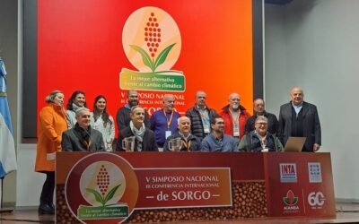 El sorgo brilló en Pergamino