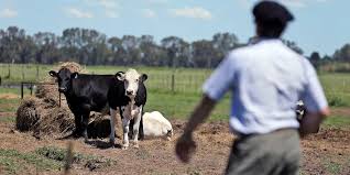 Es oficial: Eliminan y rebajan retenciones a productos agropecuarios