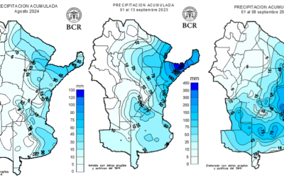 Sin lluvias en setiembre, el 30% del trigo está regular a malo