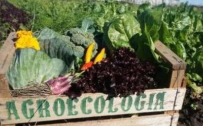 La ciudad de Córdoba reglamentará la producción y comercialización de productos agroecológicos