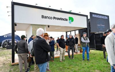 Banco Provincia llega a Expo Angus de Primavera con financiamiento al 33% para compras en remates