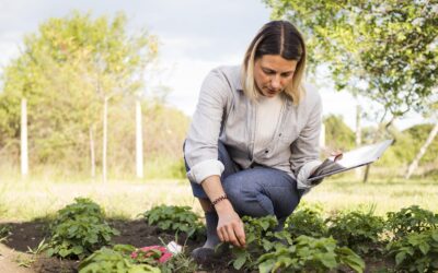 Abrieron la inscripción a la Diplomatura en Comunicación Agropecuaria de la Universidad Nacional de Lomas de Zamora