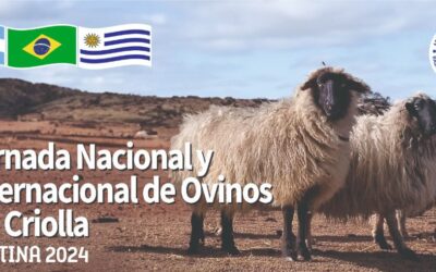 Jornadas de raza ovina criolla en Catamarca