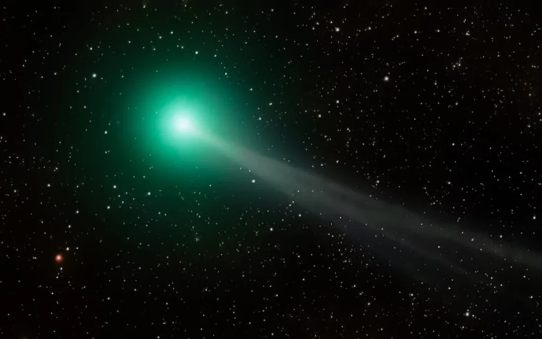 El Cometa del Siglo ya empieza a iluminar el cielo argentino: la mejor hora para observarlo