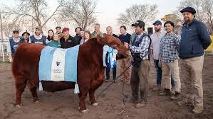 Sesenta millones por el Gran Campeón de la Nacional Patagónica en Río Colorado