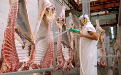 Mercados de carne vacuna: las exportaciones crecieron un 23% en agosto