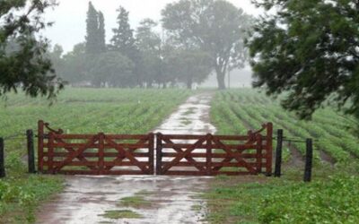 Lluvias aliviaron la región núcleo pero aún persisten desafíos para la siembra de soja