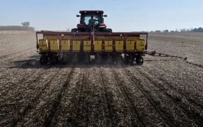 Continúan las demoras en la siembra de Girasol y el desarrollo fenológico de Trigo