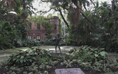 El Jardín Botánico de Buenos Aires como nunca lo viste