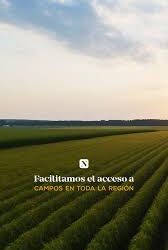 Panorama alentador: el blanqueo de capitales está favoreciendo la venta de campos y propiedades rurales