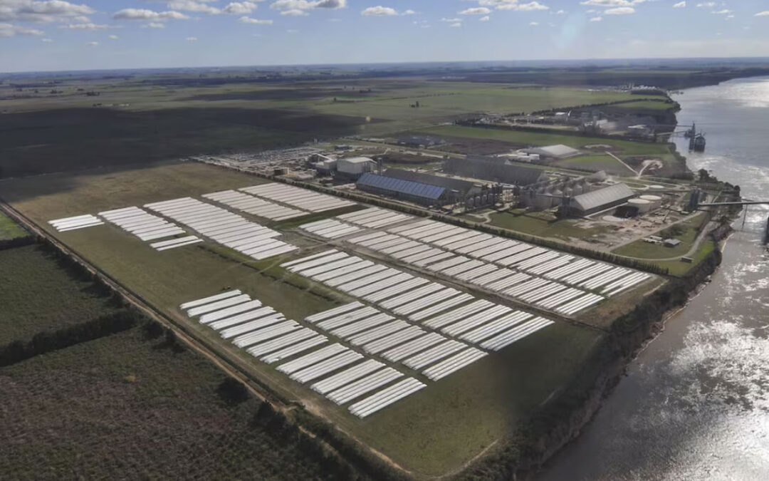 Legisladores y referentes del campo compartirán en Brasilia un encuentro sobre desarrollo agroindustrial