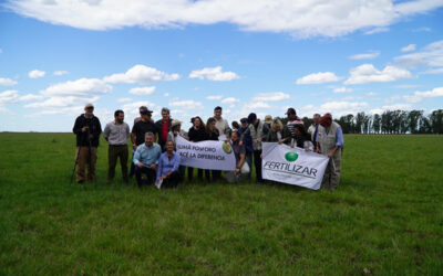 Nutrir las pasturas para mejorar la productividad ganadera y la calidad de la carne