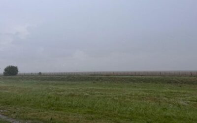 Tras las lluvias que le cambiaron la cara al campo, ¿qué pasará con el clima en los próximos meses y cómo impactará en la producción?