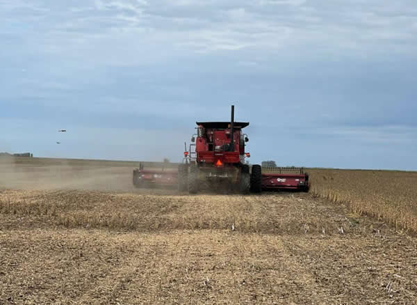 El uso de fertilizantes aumentó un 7% en 2024